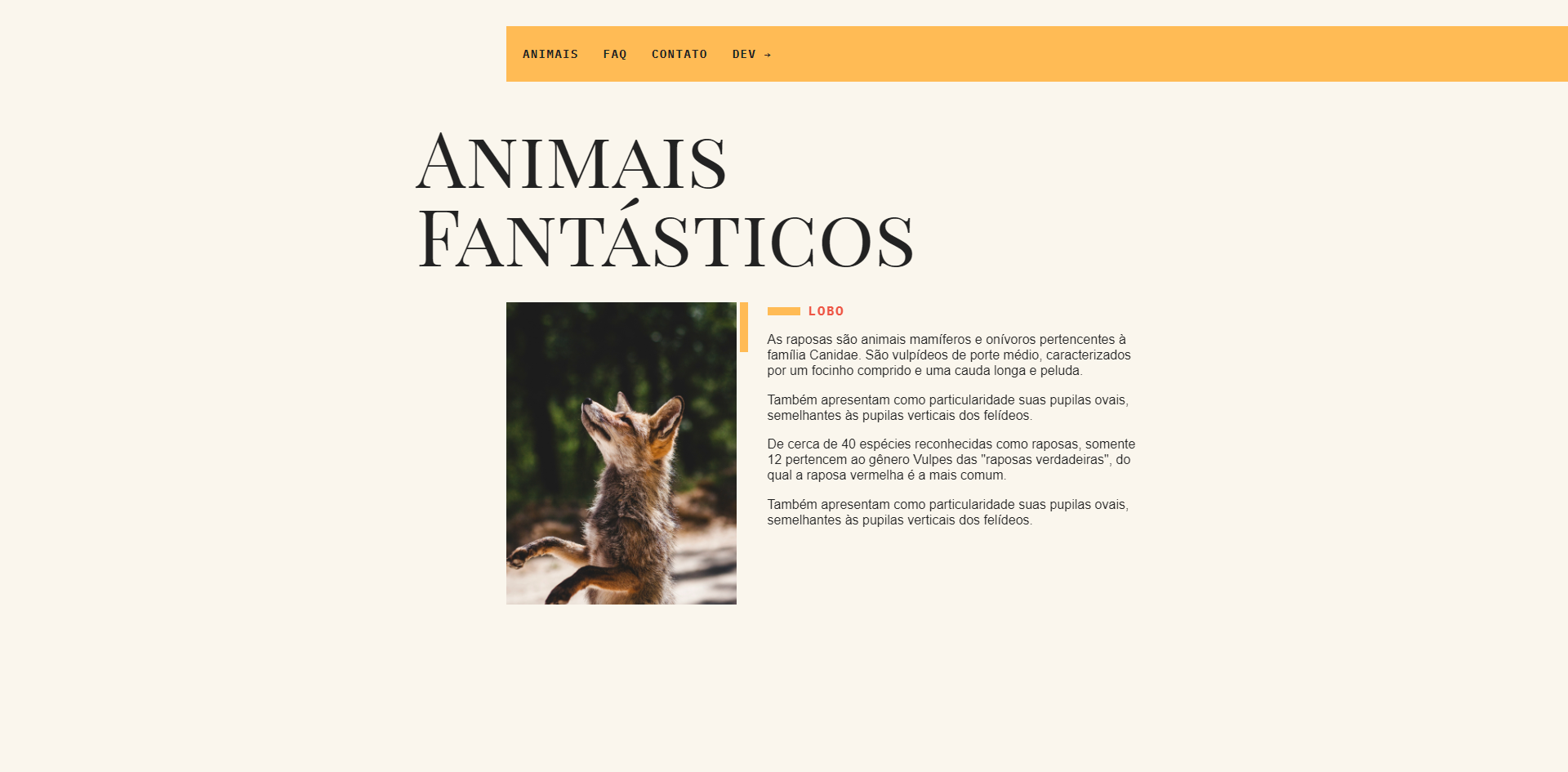 An image of the Animais Fantásticos project.